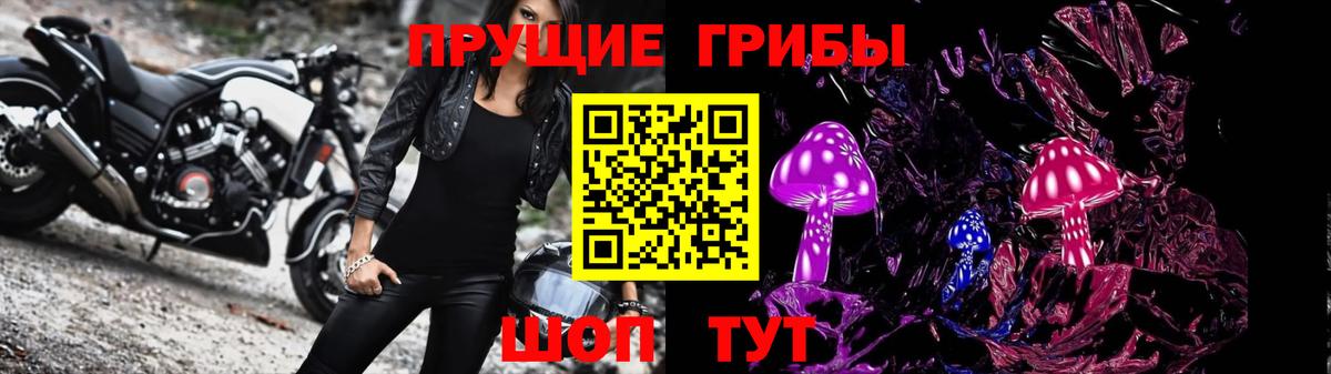 Псилоцибиновые грибы ЛСД Коряжма